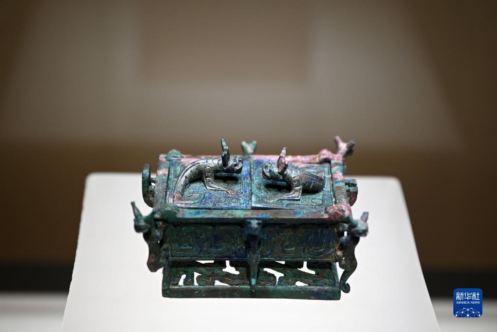 mg网络平台